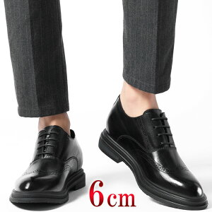 rWlXV[Y {v Y JWAV[Y tH[}V[Y V[NbgV[Y ʋC ubN 6cm gAbv