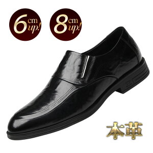 [t@[ Y {v V[NbgV[Y 6cm 8cm gAbv ubN TChSA TChXbg q[Abv JWA