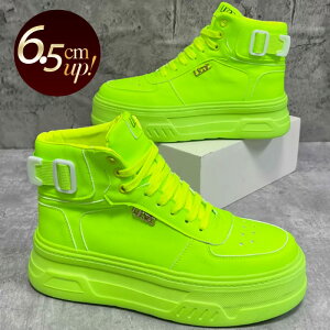 Xj[J[ Y nCJbgXj[J[  zCg O[ lIJ[ u V[NbgV[Y lC  Xj[J[ y6.5cmgAbvz