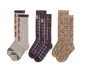 q C 3Zbg Koala Mama ܂  nC\bNX _炩 Rbg xr[ LbY ̎q j̎q ʊw ʉ