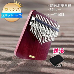 �J�����o LingTing LT-K 34V 34�L�[ �e�w�s�A�m 34���ՃJ�����o�e�w�s�A�m �J�����o���r�� �T���s�A�m �������v���[���g�i��𕷂��j