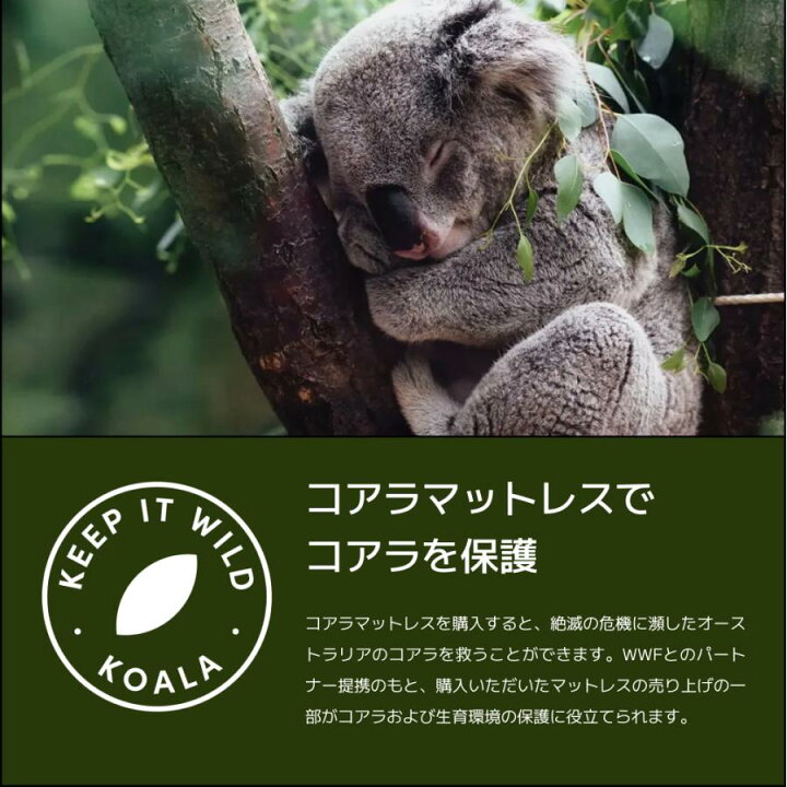 楽天市場】【19日20:00から26日1:59まで20%OFFクーポン+エントリーでP5  
