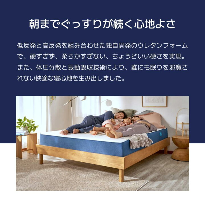 楽天市場】【19日20:00から26日1:59まで20%OFFクーポン+ 