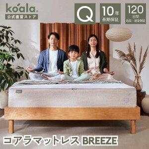 }bgX VO Z~_u _u NC[ LO RA}bgX BREEZE ᔽ  27cm Uz QԂ T|[g d߉\ o[Vu ψU ʋC z koala