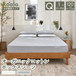 {bNXV[c I[KjbNRbg{bNXV[c VO Z~_u _u NC[ tHM[O[RbgzCg 40cm xbhV[c }bgXJo[ 2FWJ koala(R)