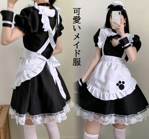 킢RX`[ Ch V[g  lRX`[ RXv Ղ cosplay s[X EFCgX Lbg G nEBߑ ߑ _Xߑ   Cx