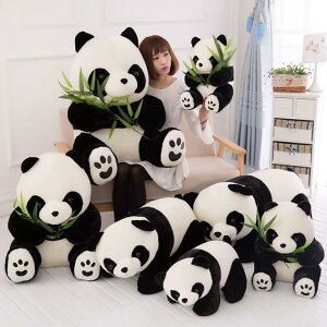 p_  panda 킢CeA ς ʂ    _炩 Lbg ӂӂ  蕨 Be av[g Mtg 40cm 50cm 60cm 70c