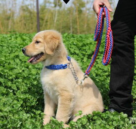 大型犬用ハーフチョーク＆リードセット　XL