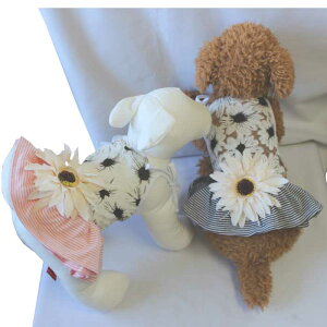 y󂠂zy[֑zHUGGY BUDDY'Sԕ[Xƃ{[_[̃s[X@nM[ofB[Y@tăhbOEFAyAEgbgz