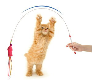 ���C���[�L����炵�y���[���֑Ή��z