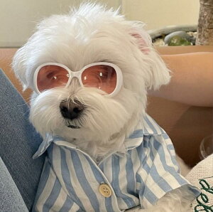 Lp^p@Kl@TOXF߂ˁy[֑Ήz