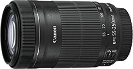 【中古】Canon 望遠ズームレンズ EF-S55-250mm F4-5.6 IS STM APS-C対応 EF-S55-250ISSTM