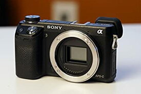 【中古】(非常に良い)SONY NEX-6 ブラック ボディ