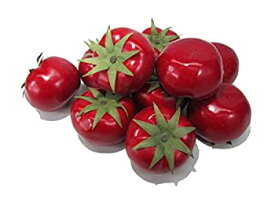 【中古】【VEERLIVE】 本物そっくり 真っ赤なトマト 食品模型 10個セット [並行輸入品]