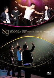 【中古】(非常に良い)sg WANNABE+ CONCERT 2010 STORY OF WANNA BE~Precious~ [DVD]