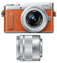 楽天市場】lumix dc－gf10wa ダブルズームキットの通販