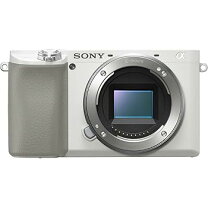 楽天市場】ソニー ミラーレス一眼 α6100の通販