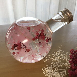 `v[gɍœK@̂ԁ`wn[oEt[xEh{g@sNn[oE AW{ r KXr KXr 蕨  j   IV