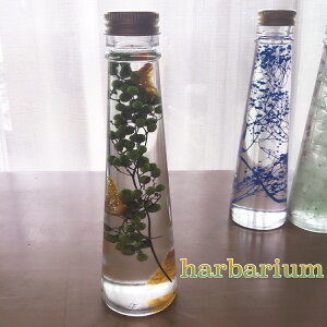 `v[gɍœK@̂ԁ`wn[oEt[x~jR[{g@ybp[O[IWn[oEAW{ r KXr KXr  킢h