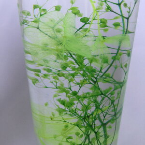 `v[gɍœK@̂ԁ`wn[oEt[xg[{g CgO[ t[GݐVõCeAG݂łn[oE AW{ KXr KXr r JX