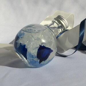 herbarium`v[gɖ̂ԁ`wn[oEt[x~jEh{g@[YEu[n[oE t[G r KXr KXr o KN AWTC  