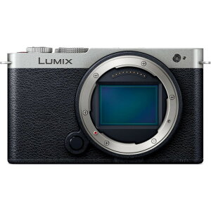 �y���������z�p�i�\�j�b�N �f�W�^���J���� DC-S9-S �V���o�[ �t���T�C�Y LUMIX Panasonic