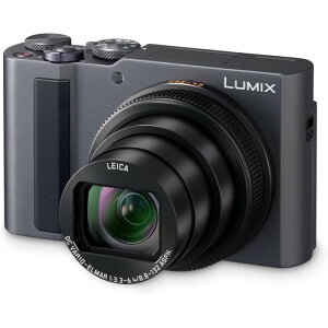 �y���������E���K�㗝�X�z�p�i�\�j�b�N �f�W�^���J���� LUMIX DC-TX3-S �V���o�[ 1.0�^ ���w15�{ 4K Panasonic