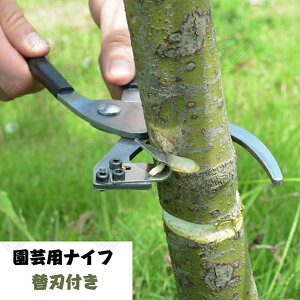 |piCt 󔍔   󔍔iCt vC[ ֐nt ̎  ʎp  X`[