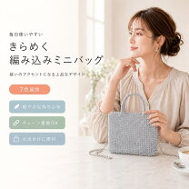 ワイヤーバッグ スタンダード パーティーバッグ ミディアムシルバー 