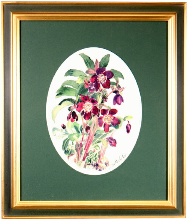 楽天市場 水彩画 原画 思い出のクリスマスローズ 2 小林美子 花 絵画 額入り 販売 花の絵 植物画 ボタニカルアート 絵 インテリア 水彩 額絵 壁掛け 玄関 リビング おしゃれ クリスマスローズ 紫 パープル かわいい 癒し アート アートパネル インテリアアートパネル