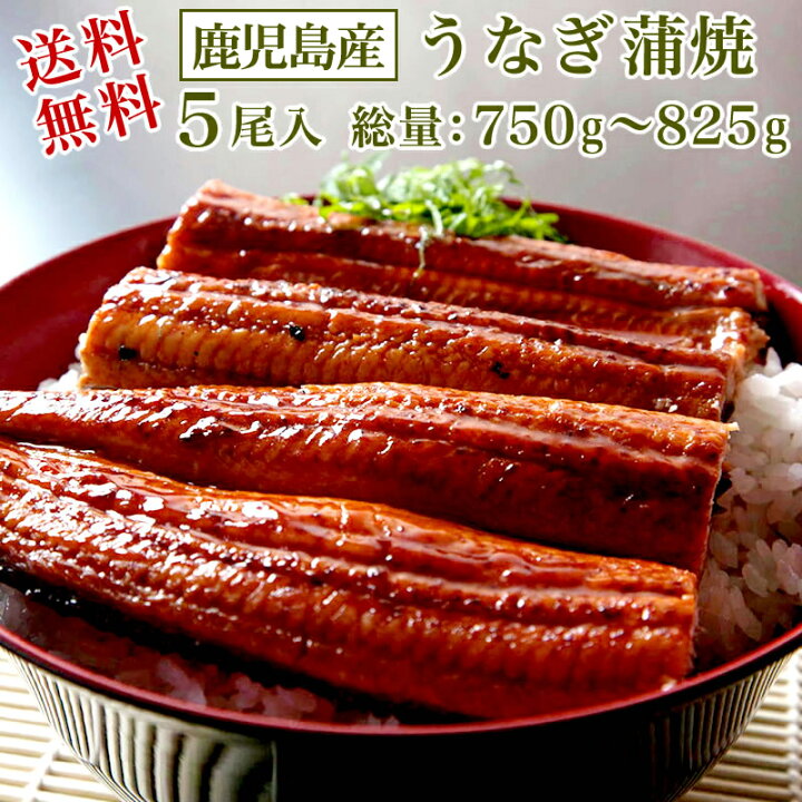 楽天市場 送料無料 鹿児島産 うなぎ蒲焼 5尾 総量 750g 5g 国産 うなぎ ウナギ 鰻 ご希望により いかかんずり干し2枚 プレゼント 小針水産