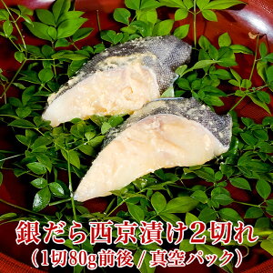 ₾ Ђ 2 y180gOz _ ؂g ݂ XЂ Ă X Ă  Mtg  j Ԃ  v[g O C̍K CN V Ⓚ