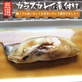 カレイ煮付け カラスカレイ 煮付け 1切 (1切れ80g前後) かれい煮付け 煮魚 甘辛 タレ 甘辛タレ 切り身 魚菜 かれい カレイ からすかれい 鰈 ファストフィッシュ おかず お惣菜 調理済み 自宅用 ご飯のお供 ごはんの友