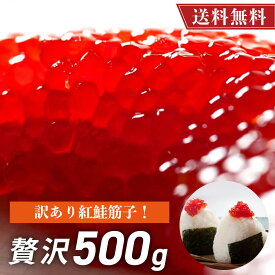 筋子 すじこ 訳あり品 新物 紅鮭 500g 【送料無料】 紅鮭筋子 塩漬 昔ながらの塩漬けで お弁当 おにぎり ご飯のお供 にぴったり 冷凍