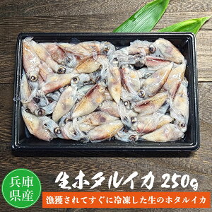 Ⓚz^CJihgpj250g×1pbN