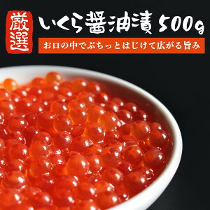 yMtg z I  ݖЂ 500g ݖ ݖ CN  CN  CN 񂹃O  т̂ ̗͂F 蕨