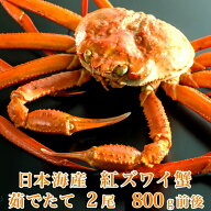 送料無料】日本海産 茹でたて紅ズワイ蟹 800g前後x2尾【かに カニ 蟹】 紅ずわいがに ベニズワイガニ 紅…
