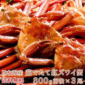 yz {CY 䥂łčgYCI 800gOx3y Jj Iz g킢 xjYCKj g킢