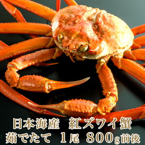 {CY 䥂łčgYCI 1 800gOy Jj Iz g킢 xjYCKj g킢