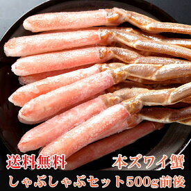 送料無料 ズワイガニ しゃぶしゃぶセット 500g前後 カナダ産 ずわいがに 本ズワイガニ ズワイ蟹 蟹みそ 蟹味噌 カニ味噌かに鍋 かにしゃぶ ギフト 贈答 内祝い お返し 御礼 プレゼント お祝い 御祝い 同窓会 快気祝い