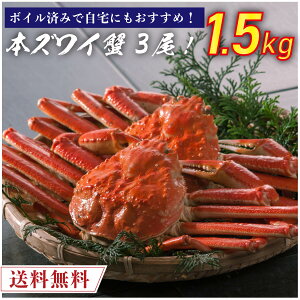 【期間限定セール品】【たっぷり3尾】 ボイル済み 本ズワイ蟹 3尾 総量1.5kg前後【送料無料】 カナダ産 本ずわい蟹 本ズワイ蟹 本ずわい 本ズワイ かに カニ 蟹 ボイル済み 海鮮 ズワイガニ