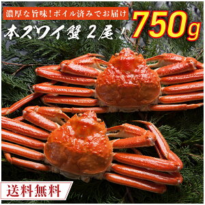 �{�C���ς� �{�Y���C�I 2�� ����750g�O�� �y���������z �{���킢�I �{�Y���C�I �{���킢 �{�Y���C ���� �J�j �I �{�C���ς� �{�Y���C�I �C�N �Y���C�K�j �H�i ���� �Ⓚ �N�[���� �ƒ�p 