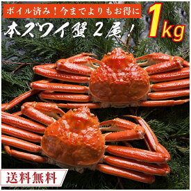 ボイル済み 本ズワイ蟹 2尾 総量1.0kg前後 【送料無料】 本ずわい蟹 本ズワイ蟹 本ずわい 本ズワイ かに カニ 蟹 ボイル済み 本ズワイ蟹 海鮮 ズワイガニ 食品 取り寄せ 冷凍 クール便 家庭用 自宅用