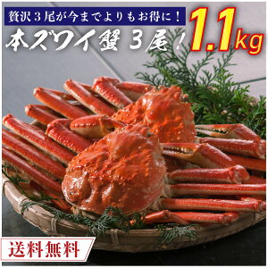 {Cς {YCI 3 1.1kgO yz {킢I {YCI {킢 {YC  Jj I {Cς {YCI CN YCKj Hi  Ⓚ N[ ƒp 