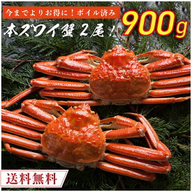 ボイル済み 本ズワイ蟹 2尾 総量900g前後 【送料無料】 本ずわい蟹 本ズワイ蟹 本ずわい 本ズワイ かに カニ 蟹 ボイル済み 本ズワイ蟹 海鮮 ズワイガニ 食品 取り寄せ 冷凍 クール便 家庭用 自宅用