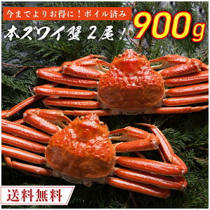 {Cς {YCI 2 900gO yz {킢I {YCI {킢 {YC  Jj I {Cς {YCI CN YCKj Hi  Ⓚ N[ ƒp 