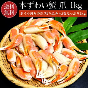  {YCI ܁i1kg) 킢 {YCKj YCI Mtg  j Ԃ  v[g j j  Ε