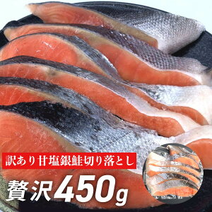 É ؂藎Ƃ 󂠂i 450g  ؂g TP  ؂[ É 񂹃O jG H ٓ ɂ Ⓚ ^pbN ł͂ ؂藎 ؗ 肨Ƃ