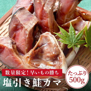 㖼Y  J}  500g   J}  yʌz  TP  Y    CN т̂ C̍K jY 