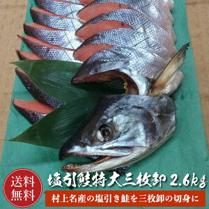 yz 㖼Y   ؐg  O 2.6kgO Ε  Mtg jY (  TP Ⴏ VP ) O낵  Mtg  j Ԃ  v[g j